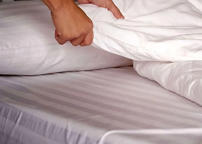 Hotel Magnuson Grand North 3*